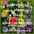 LES STRATEGIES DE REPRODUCTION DES PLANTES A FLEURS