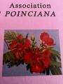 POINCIANA LAROSETTE MOULE