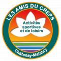 ASSOCIATION DES AMIS DU CREPS
