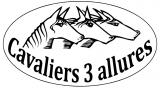 CAVALIERS 3 ALLURES