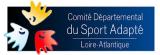 COMITÉ DÉPARTEMENTAL SPORT ADAPTÉ DE LOIRE-ATLANTIQUE