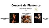 Concert de Flamenco