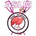 ASLM [AVIRON SPORTS ET LOISIRS DE LA MARNE]