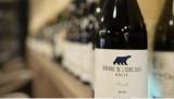 Domaine de l’Ours Bleu : une entrée fracassante dans les pépites de Loire à découvrir