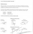Compte Rendu AG association du 30062025