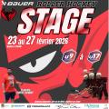 Stage Jeunesse Roller Hockey