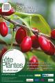 Fête des plantes d'automne de Saint-Jean de Bauregard