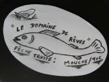  pêche mouche