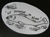 mouche pêche 
