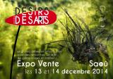 Expo-Vente Désirs des Arts à Saoû (26), les 13 & 14 décembre 2014