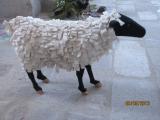 4èmes journées de la laine