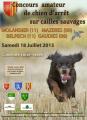 Concours chien d'arrêt amateur cailles sauvages 18/07/2015