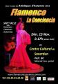 Spectacle de Flamenco La Conciencia