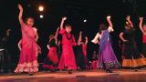 Cours de danse Flamenco et Sévillanes : Saison 2015-2016 à Saverdun