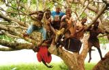 FRANCE TCHAD DEVELOPPEMENT