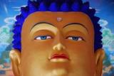 TIBET NIENPO