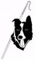 BORDER COLLIE LANGUEDOC ROUSSILLON BCLR