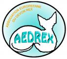 AEDREX, CLUB DE RACE DU DEVON REX