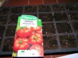 RECHERCHE DE SEMENCES DE TOMATES