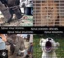 Rassemblement citoyen contre l'enfermement des animaux dans les cirques à Saint Cyprien 28/02/2016