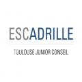 ESCADRILLE - JUNIOR ENTREPRISE DE TOULOUSE BUSINESS SCHOOL