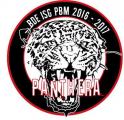 BDE ISG PBM 2016-2017 PANTHERA