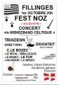 Concert Fest noz