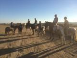 Promenade à cheval 'cours et licences FFE ADHÉSION ANNUELLE