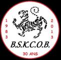 BUDO-SHOTOKAN-KARATE-CLUB BOISSISE LE ROI-ORGENOY
