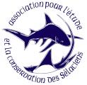 ASSOCIATION POUR L'ETUDE ET LA CONSERVATION DES SÉLACIENS (APECS)