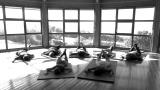 Atelier avec la Méthode Feldenkrais S'exprimer plus aisément