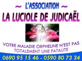 LA LUCIOLE DE JUDICAEL - L.L.D.J
