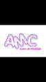 ART MUSIC COMMUNICATION