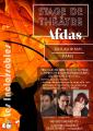 Stage de théâtre AFDAS