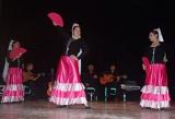 Cours de danse Flamenco et Sévillanes à Isadora Auterive