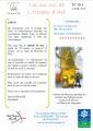 BULLETIN LES CUI CUI NUMÉRO 11