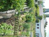 Journée au Jardin