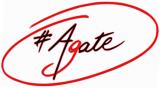AGATE ASSOCIATION DE GESTION DES ARTS ET DES TECHNIQUES