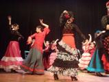 Cours de danse Flamenco à la MJC de Pamiers : Saison 2018 - 2019