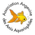 ASSOCIATION ANGEVINE DES AMIS AQUARIOPHILES