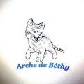 ARCHE DE BETHY