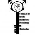 COLLECTIF DE LUTTES ETUDIANTES FEMINISTES DE MONTPELLIER