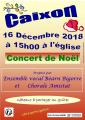 Concert vocal