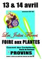 les Jolies Flores de Provins Foire aux plantes 2019