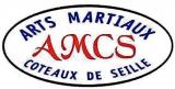 ASSOCIATION DES ARTS MARTIAUX DES COTEAUX DE SEILLE (AMCS)