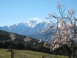 ASSOCIATION SYNDICALE LIBRE DU LOTISSEMENT DES HAUTS DE CÉRET