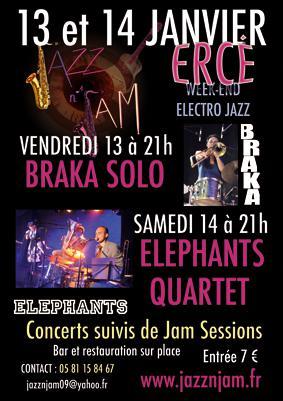 Week-end Electro-Jazz Avec Braka Solo & Elephants Quartet