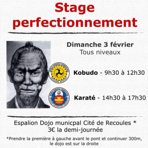 STAGE DE KARATE ET KOBUDO