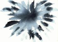 STAGE DE TAI JI QUAN 