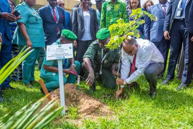 Cop 15/Restauration du couvert forestier ivoirien : le Premier Ministre Patrick Achi et une vingtaine d'autres personnalités participent à une opération de planting d'arbres